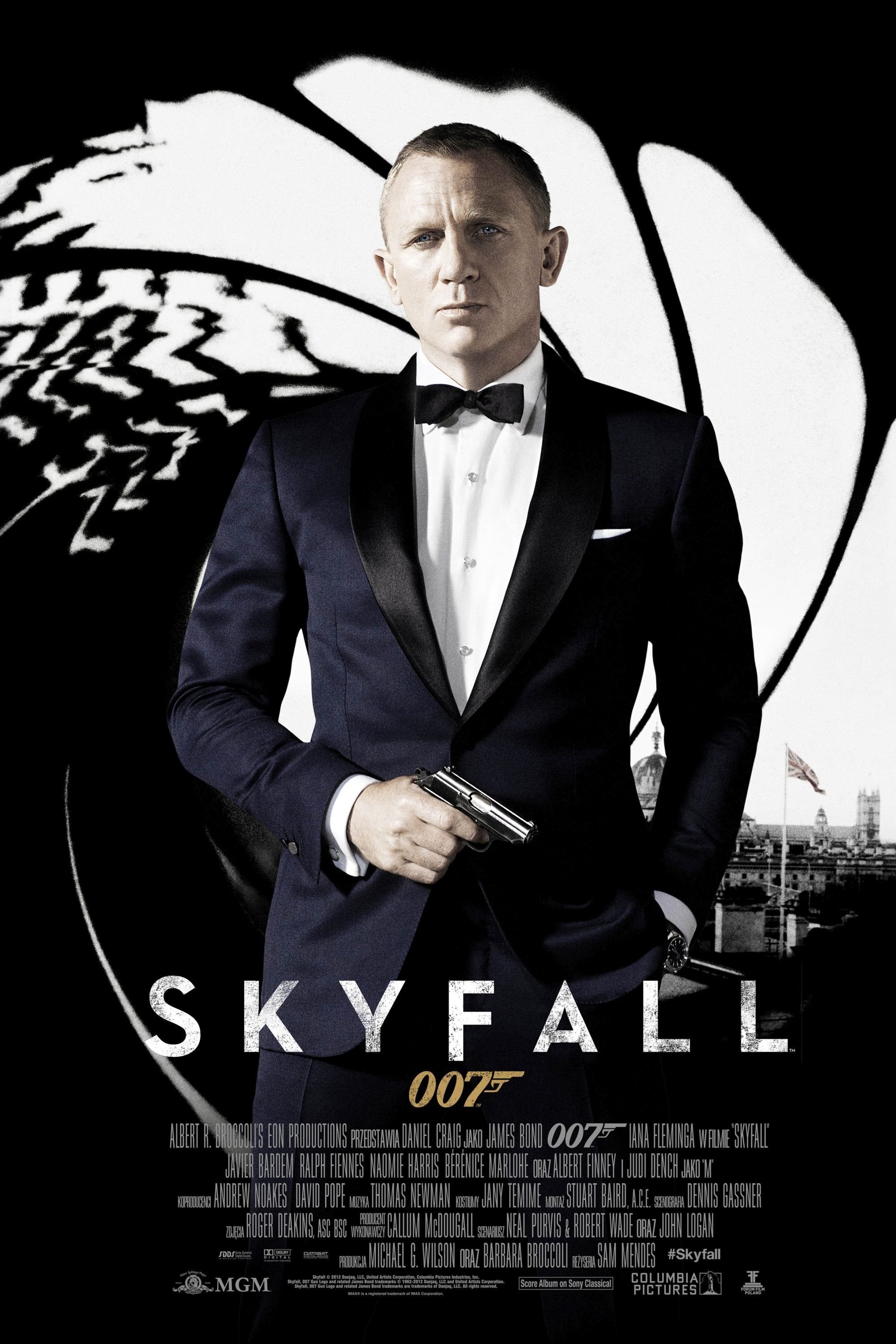 Skyfall cover